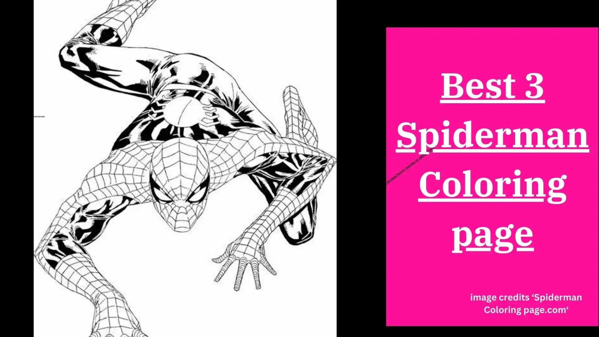 spiderman coloring page
